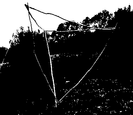 Tetrahedron